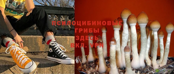 хмурый Алексеевка